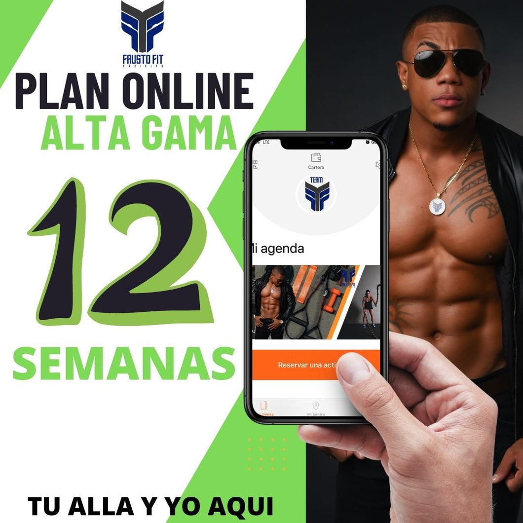 PLAN FULL ALTA GAMA ENTRENA ONLINE 12 SEMANA
